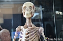VBS_3030 - Mostra Body Worlds